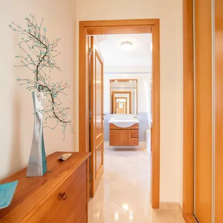 Bay - Bb Sao Bernardino