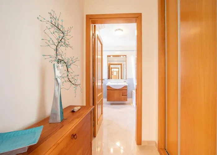 Bay - Bb Sao Bernardino